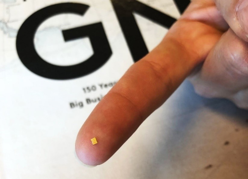 Mi5 chip on fingernail